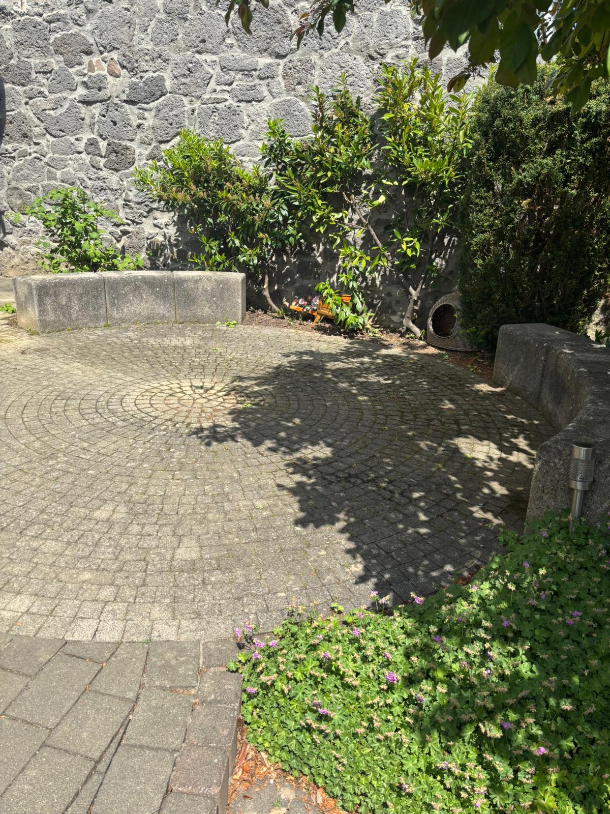 Pflasterreinigung Vorher